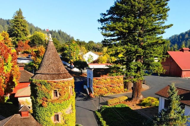 Russian River Valley & Giant Redwoods Private Tour Entrace Fees Included  - Photo 1 of 25